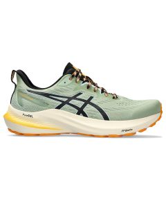 Asics GT-2000 12 TR Men nature bathing/fell yellow