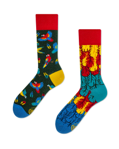 Many Mornings Paradise Parrot Crew-Socken