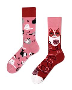 Many Mornings Socken Playful Cat Crew-Socken